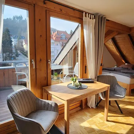 Berliner Platz Appartement Bad Harzburg